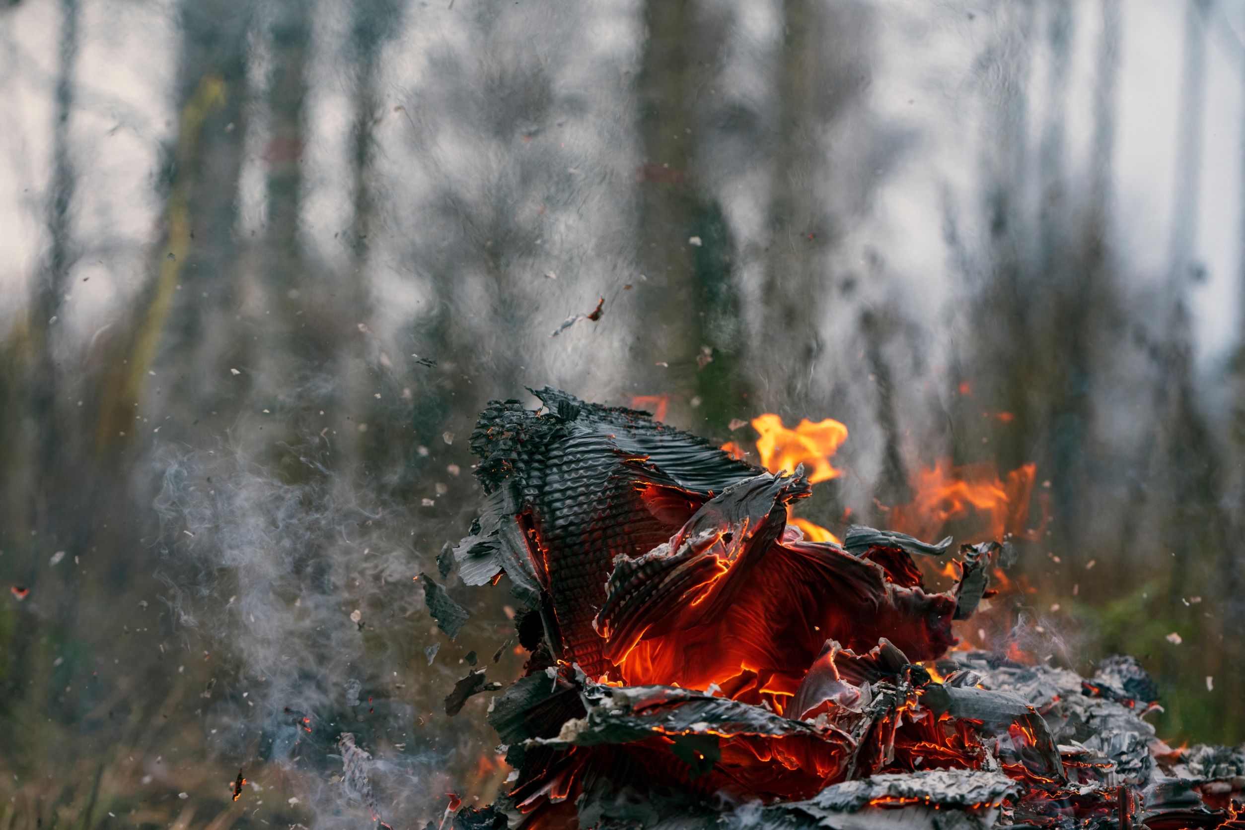 C Mo Actuar Contra Los Incendios Forestales De Sexta Generaci N