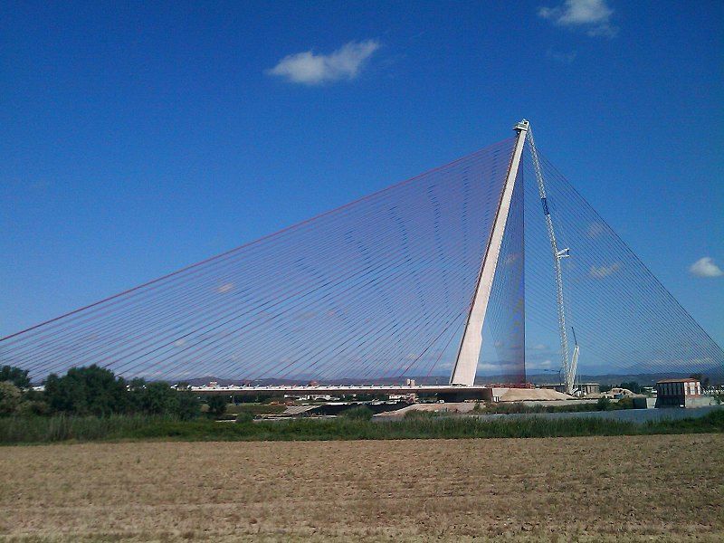 Muere tras caer del puente al que se subió para crear contenido para redes sociales