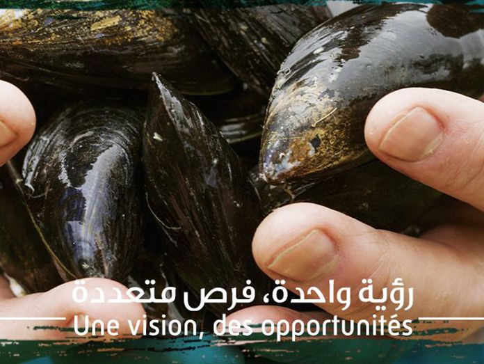 Marruecos instala en Chafarinas una granja de moluscos